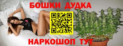 дживик Моздок