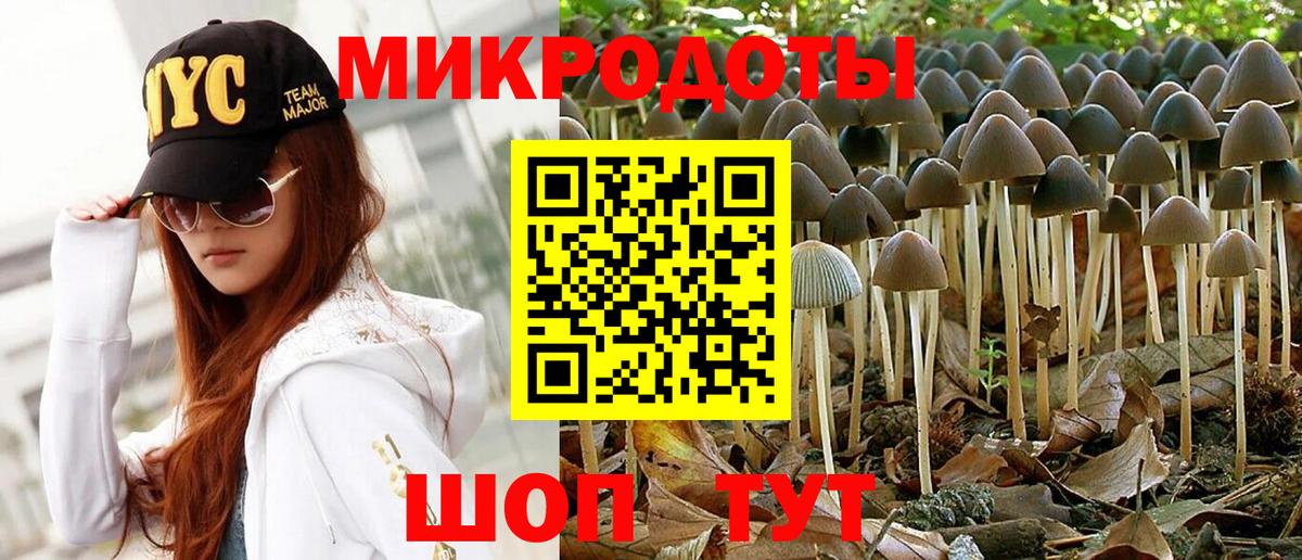 Санкт-Петербург  даркнет сайт  Вход с VPN  Галлюциногенные грибы мухоморы 
