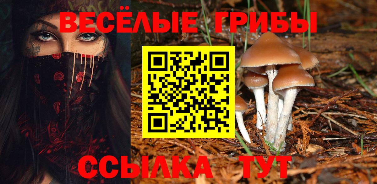 Псилоцибиновые грибы GOLDEN TEACHER Санкт-Петербург